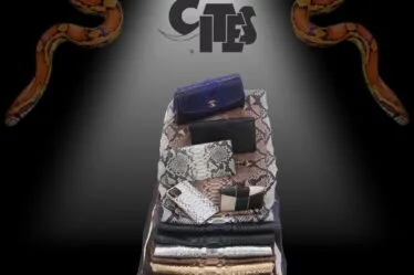 Kares Exotic Leather