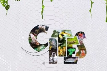 Kares Exotic Leather