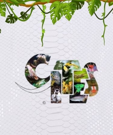 Kares Exotic Leather